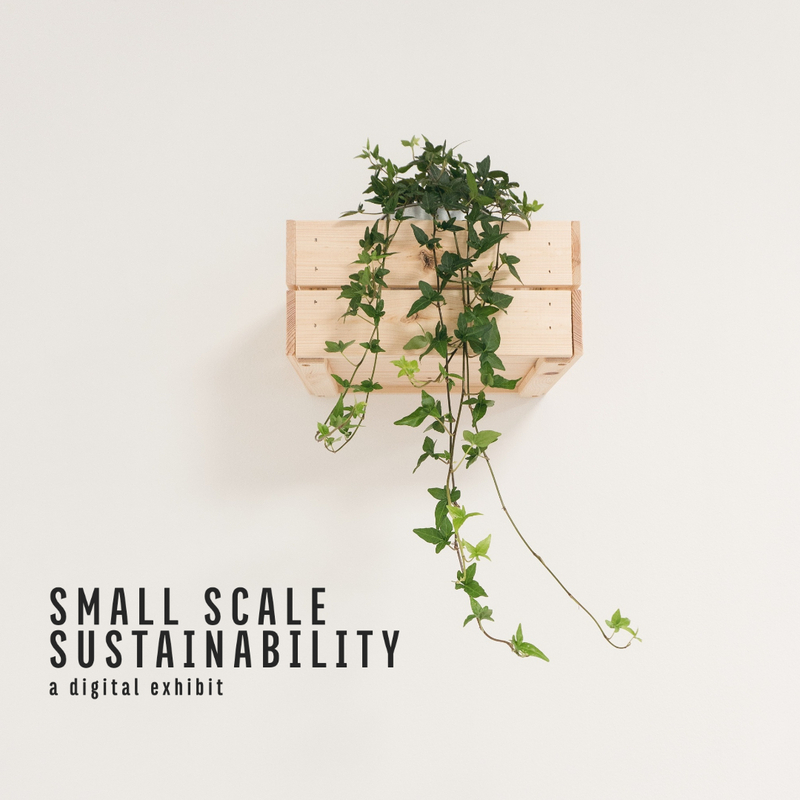 An image of a plant with the words small scale sustainability: a digital exhibit.