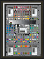 A gray rectangle with gray slant lines and optical resolution converging lines in the center and corners, black circles around edges and evenly spaced throughout, and many circles of colors, blues and greens near the center, skintones near the top, vibrant shades of orange and purple of varying shades near the bottom half. Lab color readouts are visible on the white patches, reading 97.52 on the square and 99.805 in lightness on the left of the gradient bar in the upper third of the rectangle and 79.56 on patch E8.