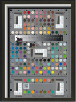 A gray rectangle with gray slant lines and optical resolution converging lines in the center and corners, black circles around edges and evenly spaced throughout, and many circles of colors, blues and greens near the center, skintones near the top, vibrant shades of orange and purple of varying shades near the bottom half. Lab color readouts are visible on the white patches, reading 248 on the square and 255 in all channels on the left of the gradient bar in the upper third of the rectangle and averaging 196 on patch E8.