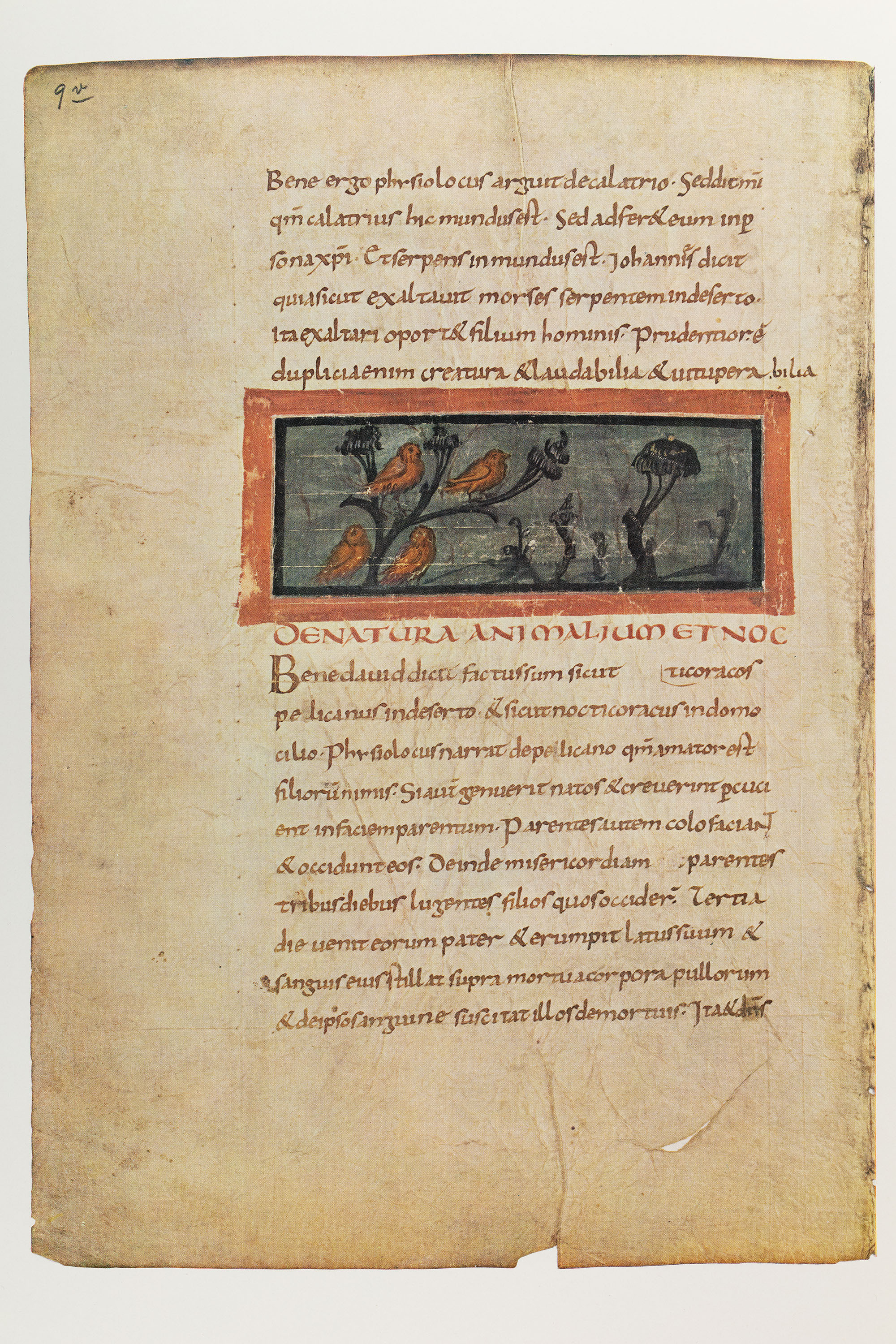 p. 9 · Library Digital Exhibits · University of Illinois at Urbana