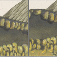 Yellow, green and black coloring of a zoomed in view of the top of the fishes, including a partial fin view, skin texture and scales in the illustrated painting. The left window in the screenshot has the fish positioned slightly lower than the right. The right view shows more detail in the darkest darks. The detail is most visible around two scales near the top of the fish.