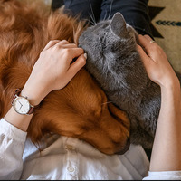 Thumbnail preview for next page