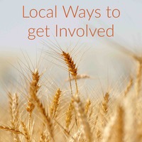 A photo of crops with the words local ways to get involved. 