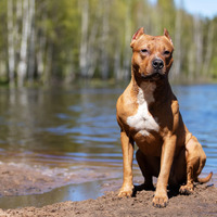 Thumbnail preview for next page